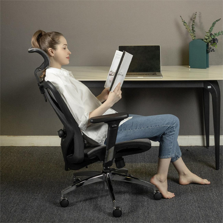 Ebern Designs High Back Ergonomic Mesh Task Chair Big and Tall